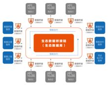 数衍科技亮相中国国际食博会高端峰会 以物联网技术服务共筑食品安全新未来
